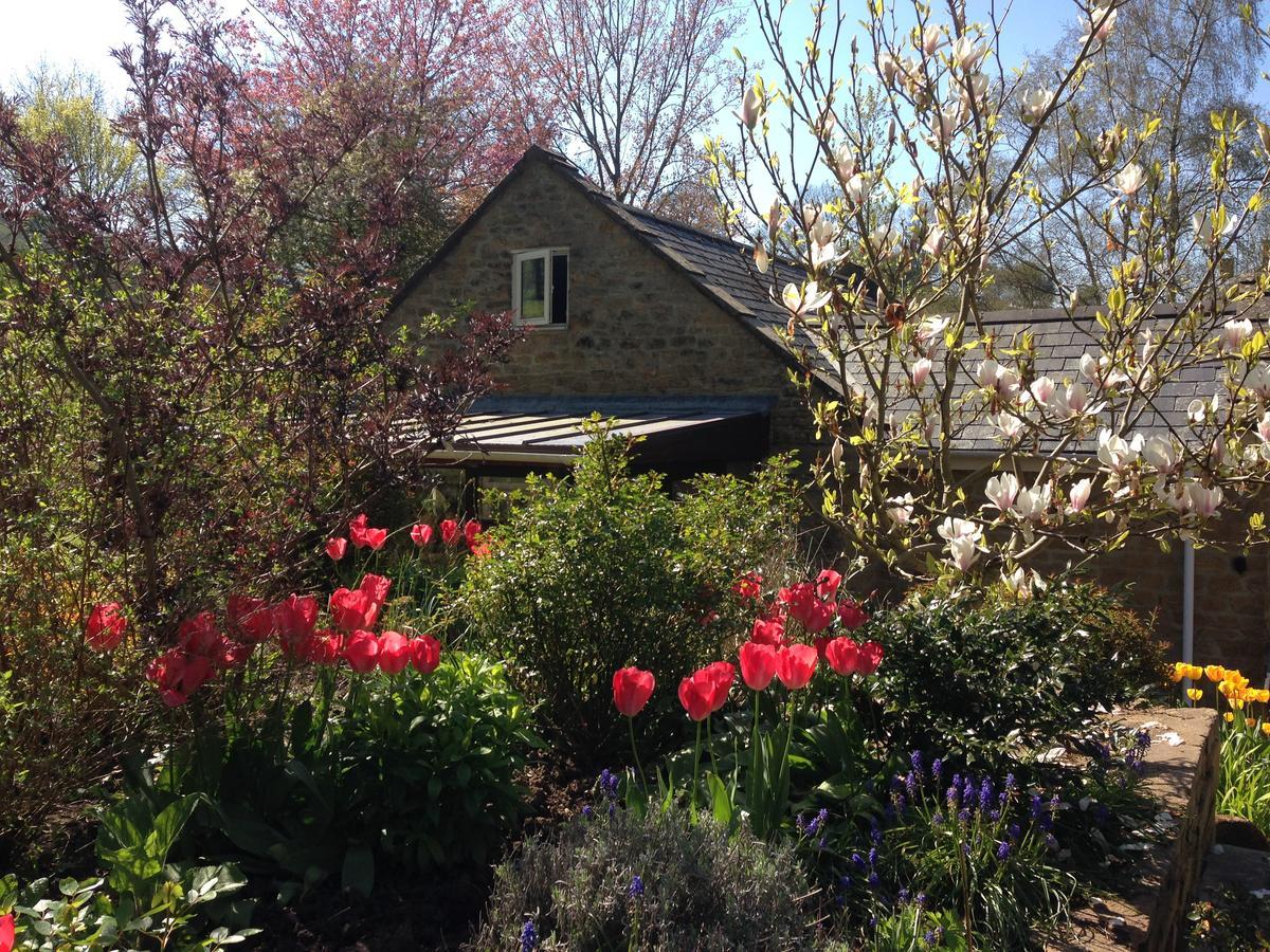 Bagnell Cottage Chiselborough エクステリア 写真
