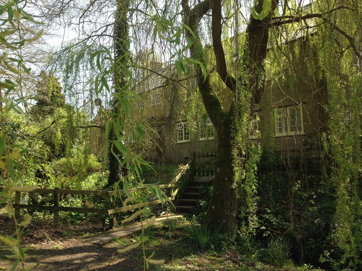 Bagnell Cottage Chiselborough エクステリア 写真