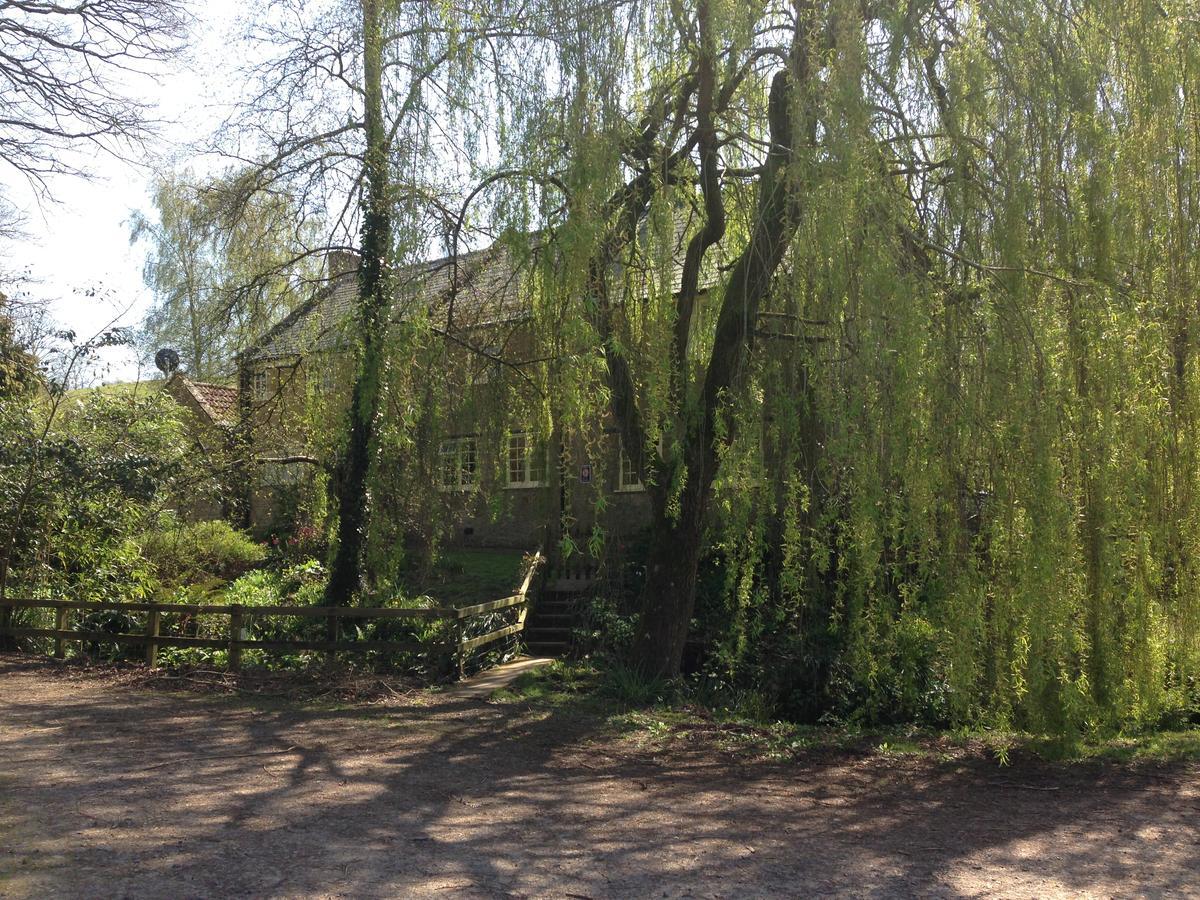 Bagnell Cottage Chiselborough エクステリア 写真