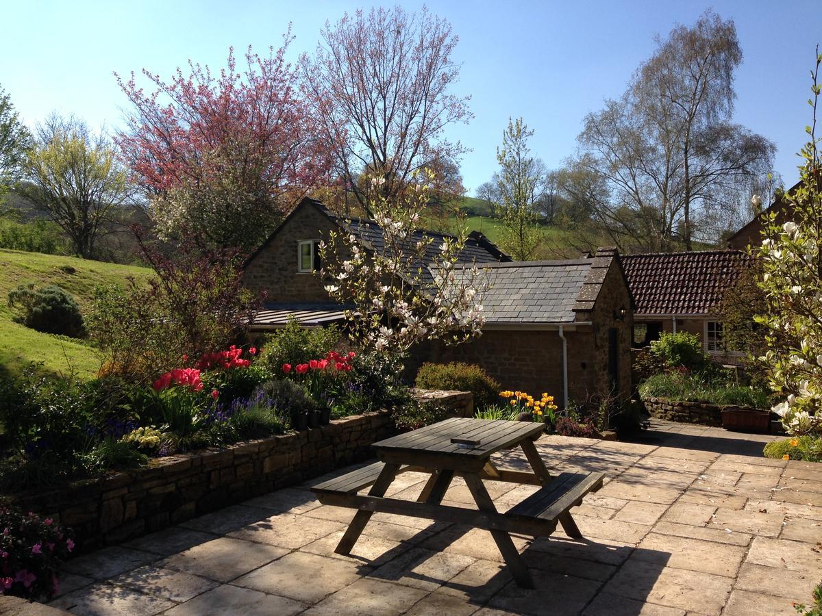 Bagnell Cottage Chiselborough エクステリア 写真