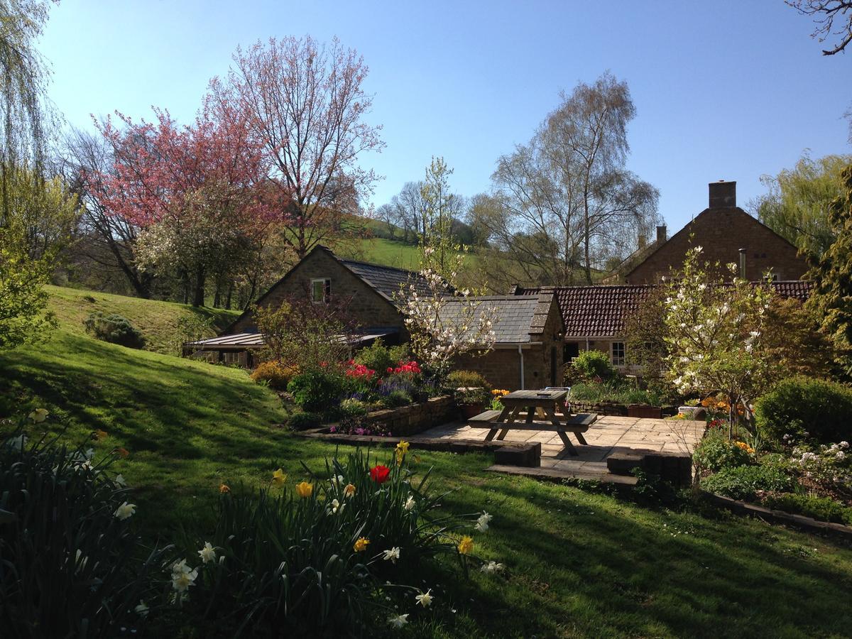 Bagnell Cottage Chiselborough エクステリア 写真