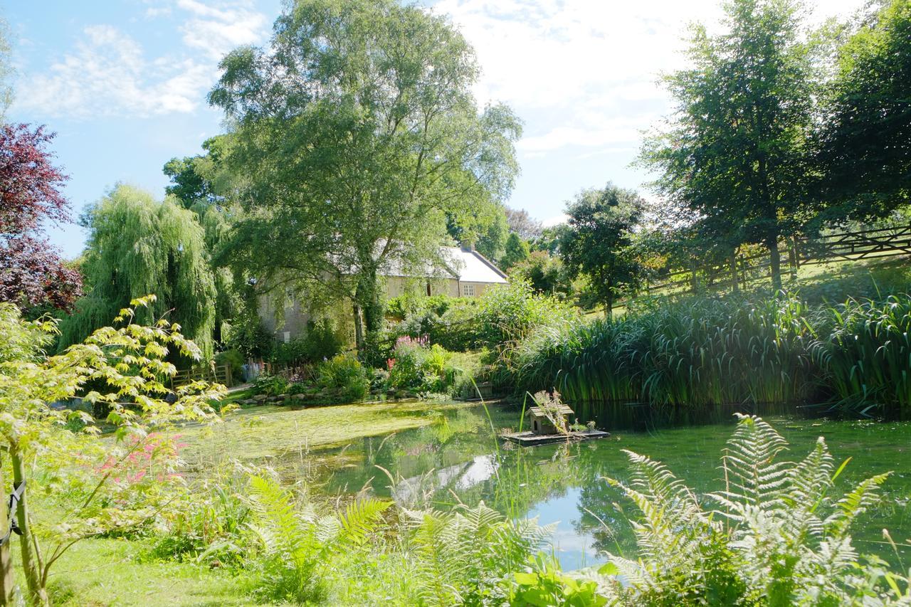 Bagnell Cottage Chiselborough エクステリア 写真