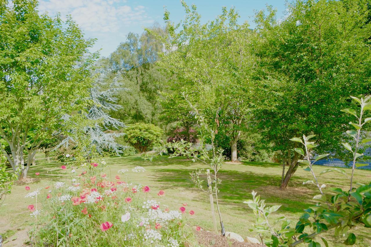 Bagnell Cottage Chiselborough エクステリア 写真