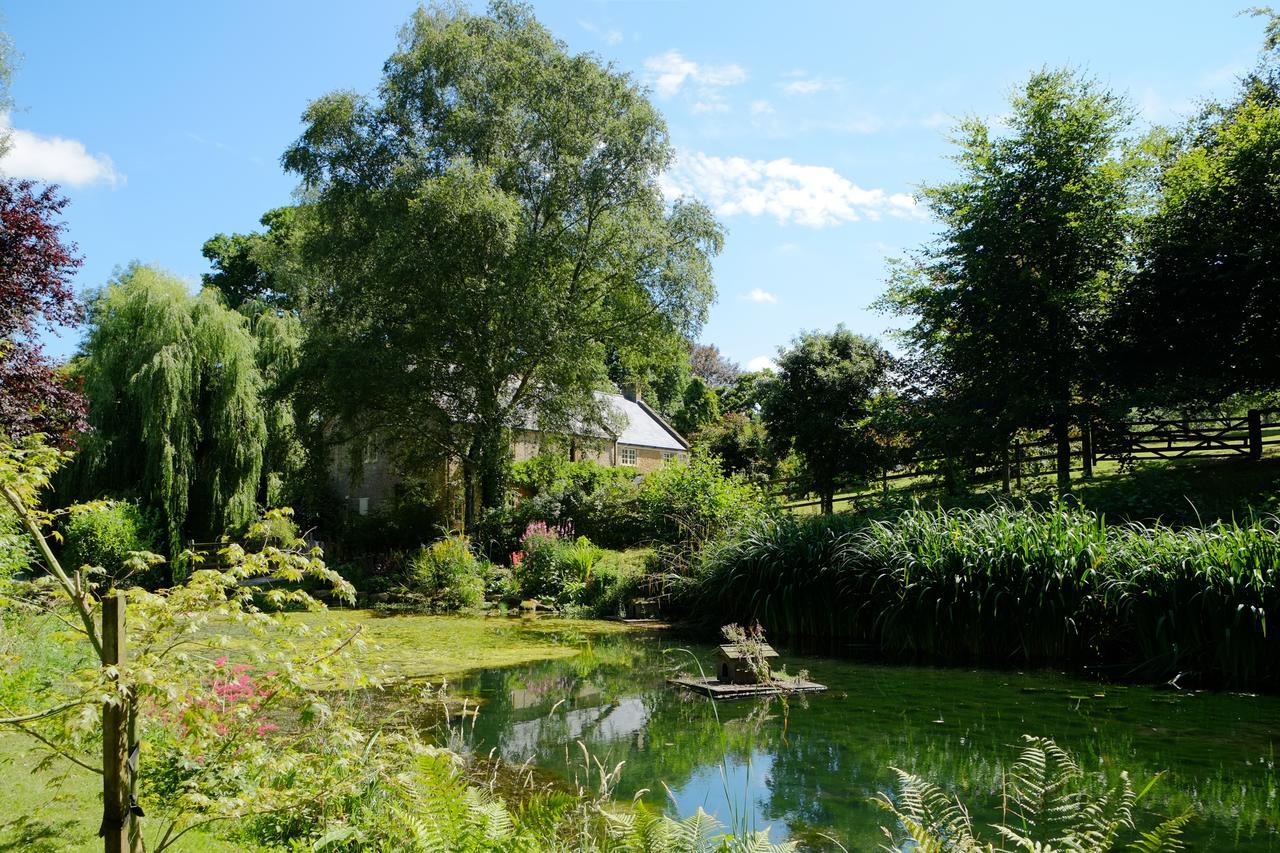 Bagnell Cottage Chiselborough エクステリア 写真