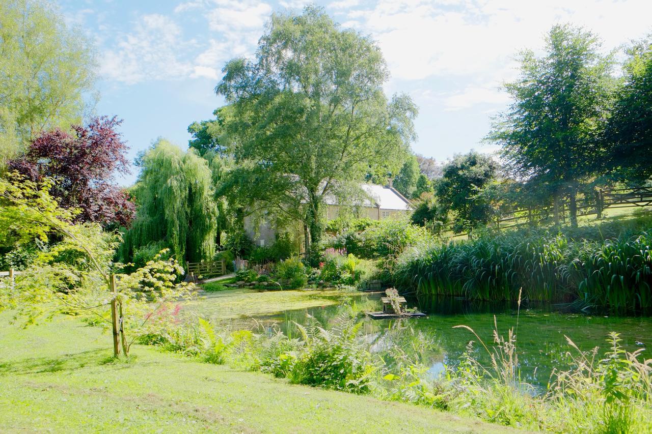 Bagnell Cottage Chiselborough エクステリア 写真