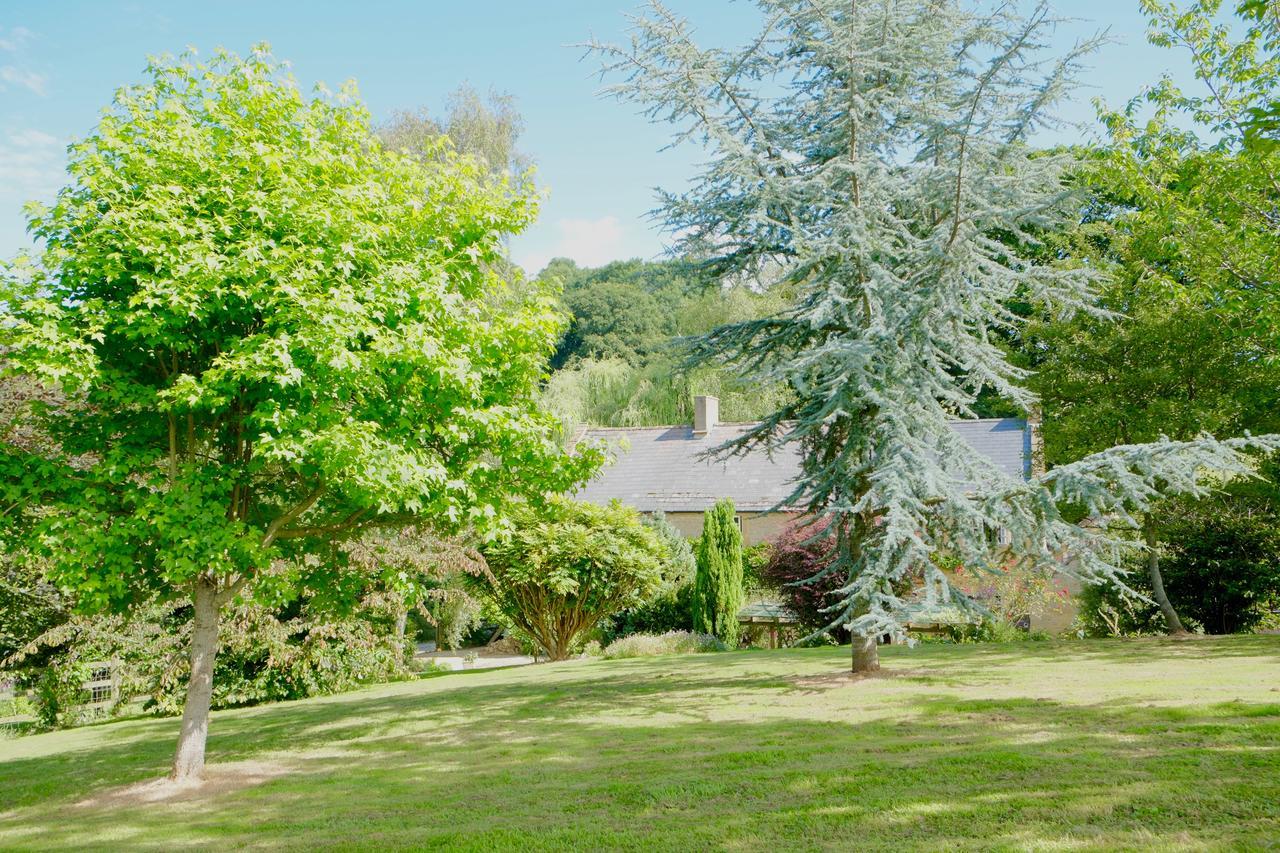 Bagnell Cottage Chiselborough エクステリア 写真