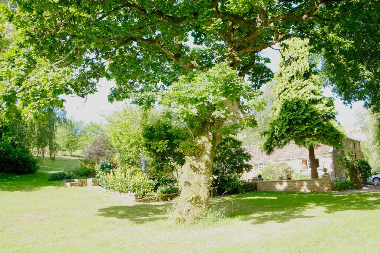 Bagnell Cottage Chiselborough エクステリア 写真